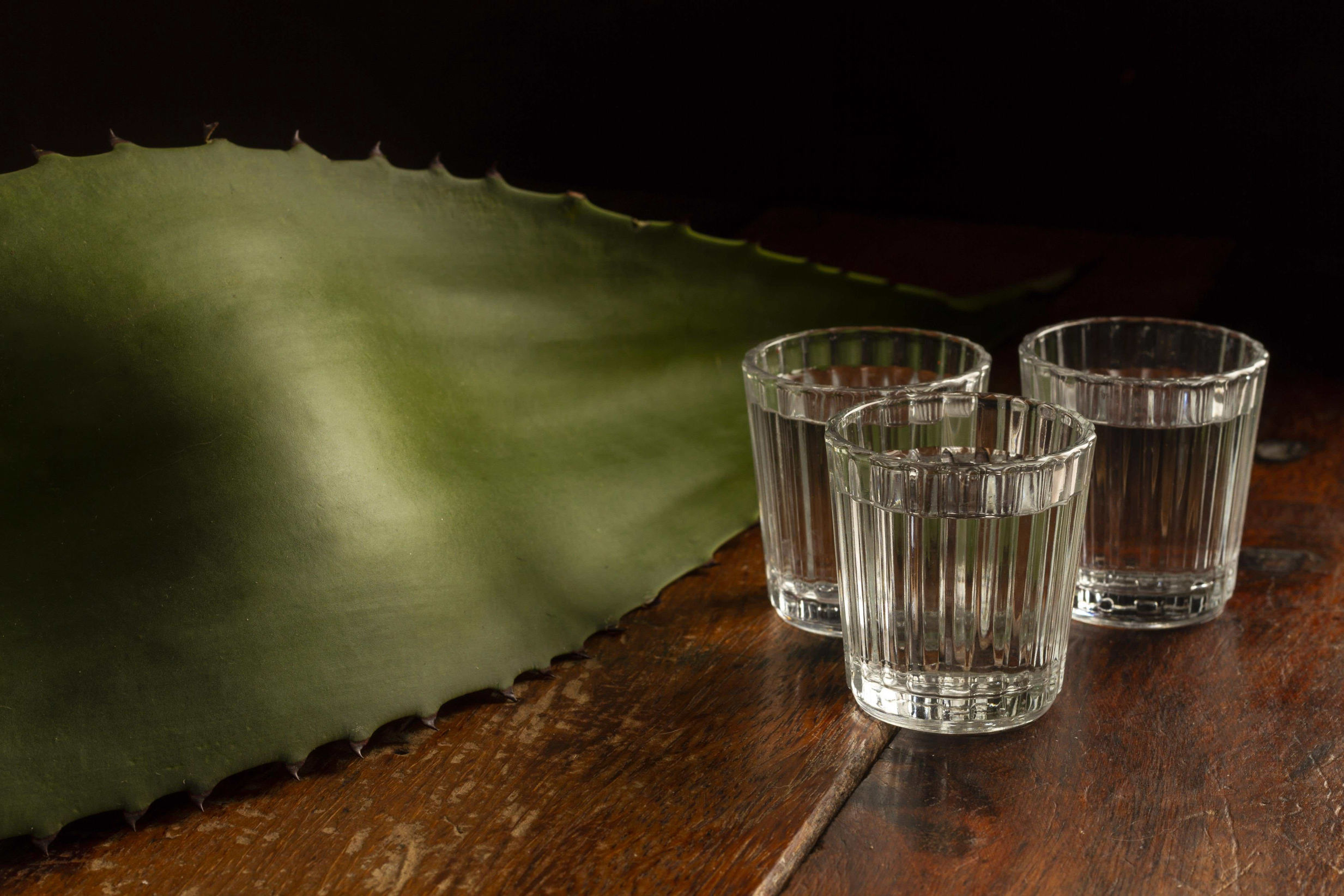 Mezcal Guarapeta